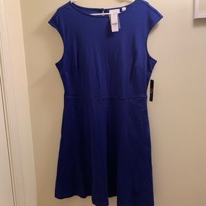 🖤Blue NY&Company dress with pockets🖤